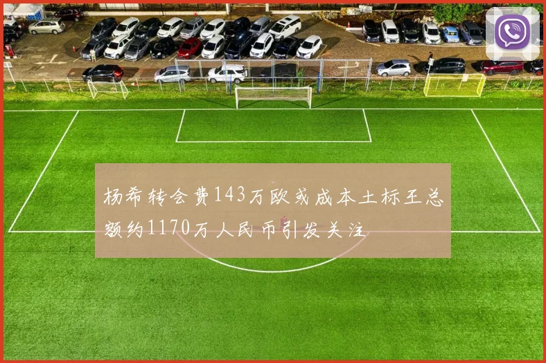 杨希转会费143万欧或成本土标王总额约1170万人民币引发关注