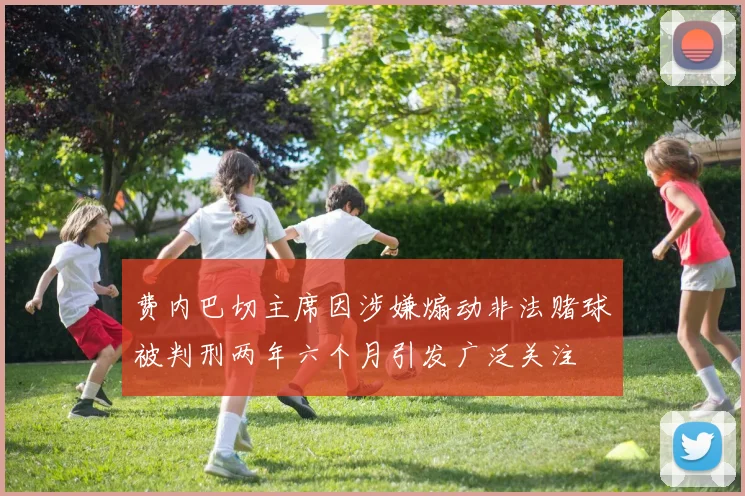 费内巴切主席因涉嫌煽动非法赌球被判刑两年六个月引发广泛关注